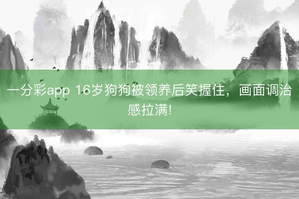 一分彩app 16岁狗狗被领养后笑握住，画面调治感拉满!