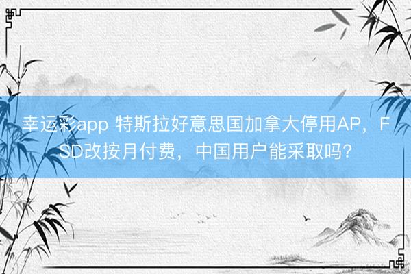 幸运彩app 特斯拉好意思国加拿大停用AP，FSD改按月付费，中国用户能采取吗?