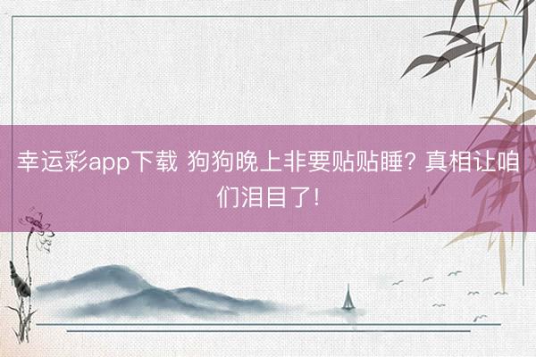 幸运彩app下载 狗狗晚上非要贴贴睡? 真相让咱们泪目了!