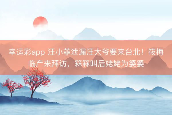 幸运彩app 汪小菲泄漏汪大爷要来台北！筱梅临产来拜访，箖箖叫后姥姥为婆婆
