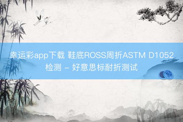 幸运彩app下载 鞋底ROSS周折ASTM D1052检测 - 好意思标耐折测试